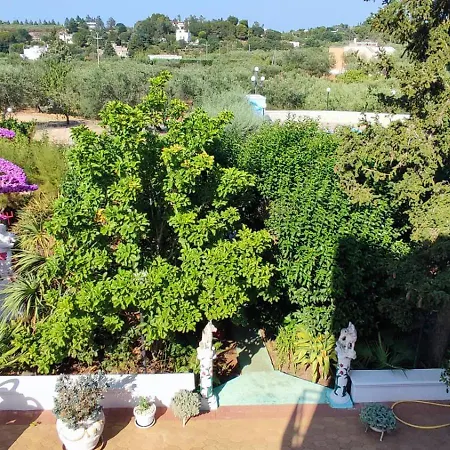 Apartment Tra Gli Ulivi Antonelli